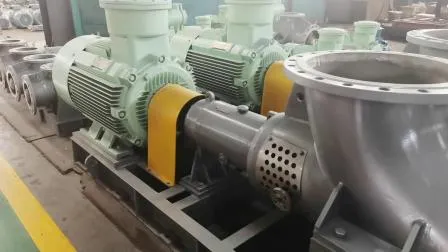 Pompe à flux axial Fjxv pour concentration dans l'industrie chimique